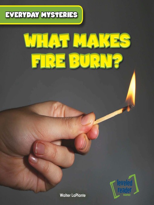Title details for What Makes Fire Burn? by Walter LaPlante - Available